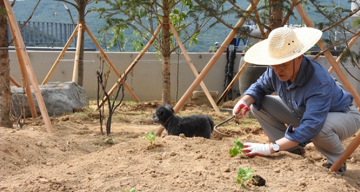 闊╁浗鎬荤粺鍘熻皡鏃ユ湰,闊╁浗鎬荤粺鍙嶆硶瑗挎柉