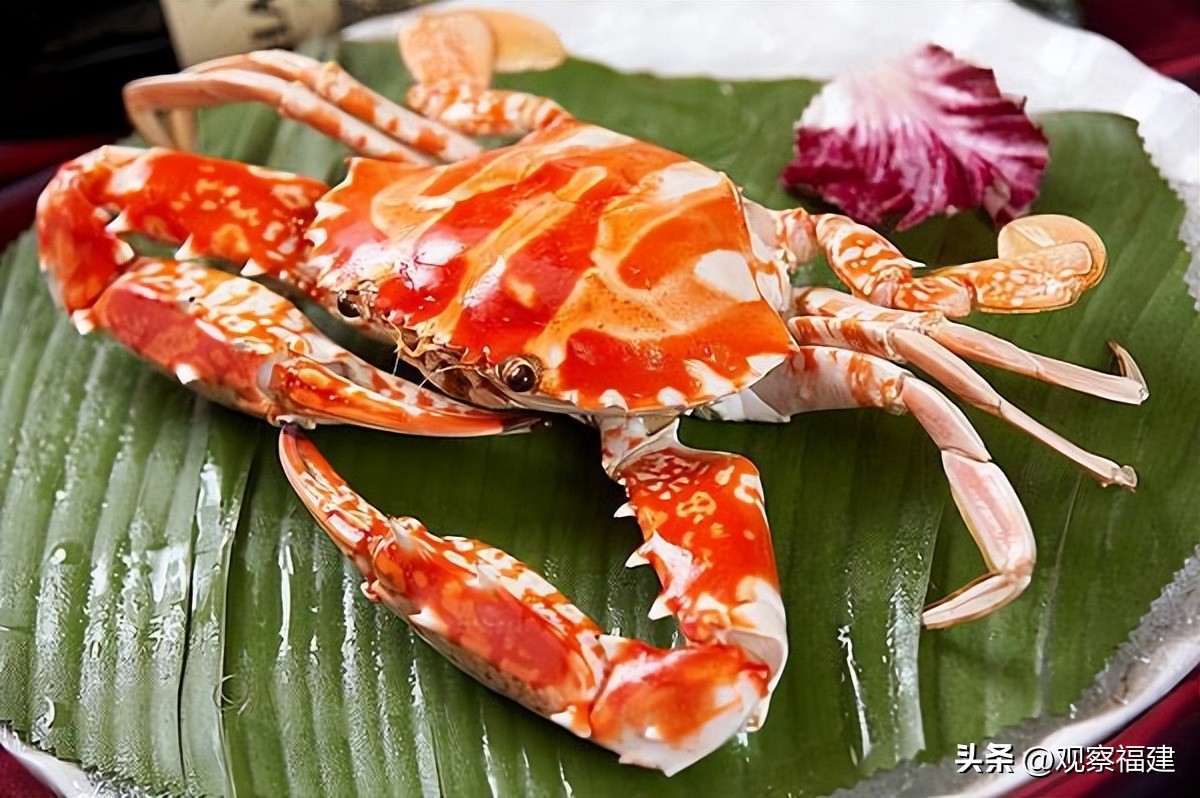 诏安秋天吃什么海鲜,福建各种海鲜图片大全