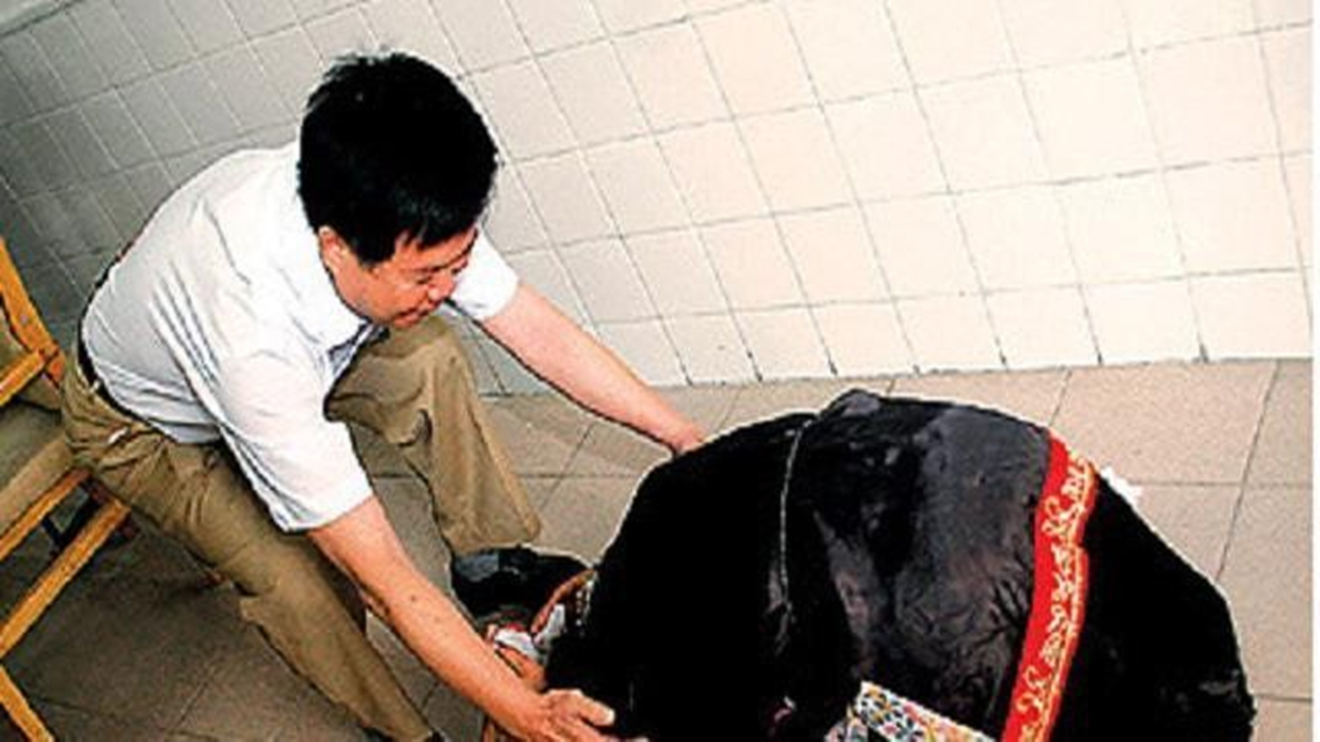 1995年东莞市殡仪馆女尸,东莞殡仪馆发现一个女尸