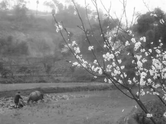 知青们的“代销店”