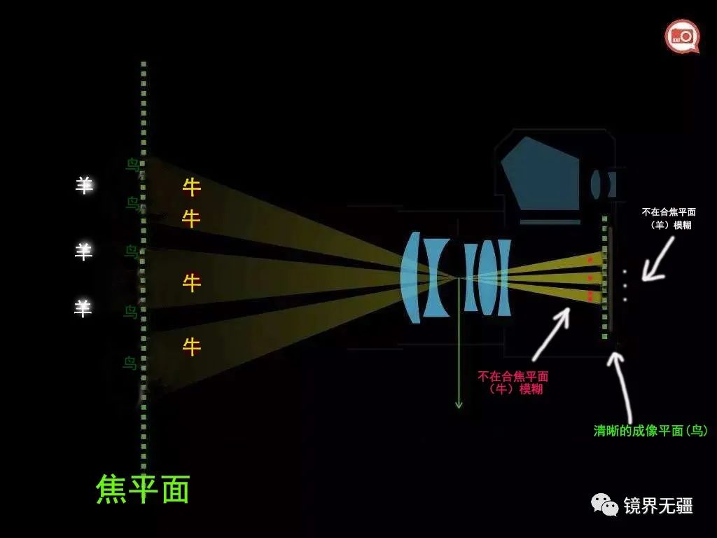 相机单点对焦和连续对焦区别大吗,摄影新手必学自动对焦模式详解