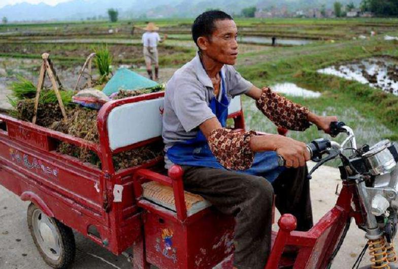 拉货三轮车推荐排行榜前十名,最新款三轮车拉货