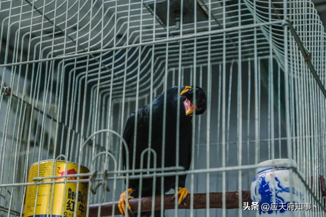 南京734厂原址在哪里,734厂南京