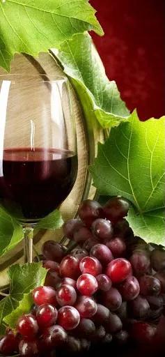 红酒壁纸文化墙贴,红酒壁纸高清4k