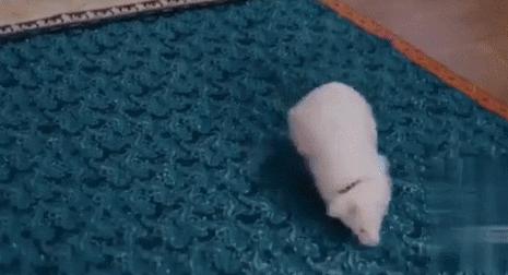 一个比一个廉价，辱智的五毛特效，但凡上点心都做不出这种东西