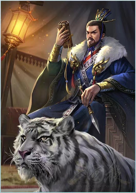 寡妇制造者强度如何,三国杀来自马良的支配