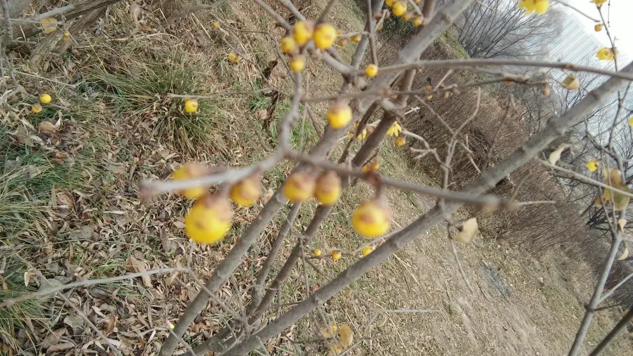 《牛虻》，像牛虻一样，勇敢做自己