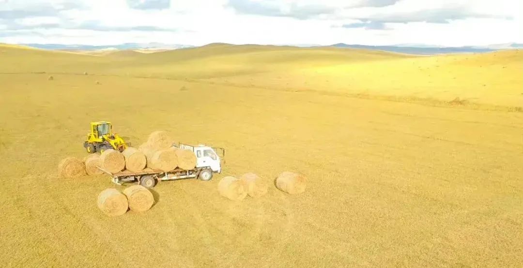 毕业返乡后,这个内蒙姑娘把草原生活拍成了一部千集连续剧