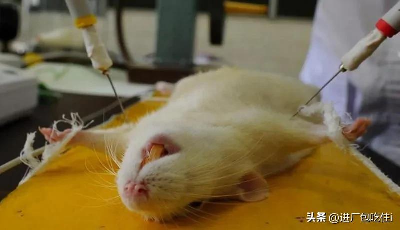 二战时期日军使用606针剂副作用,二战中日本军医用什么药