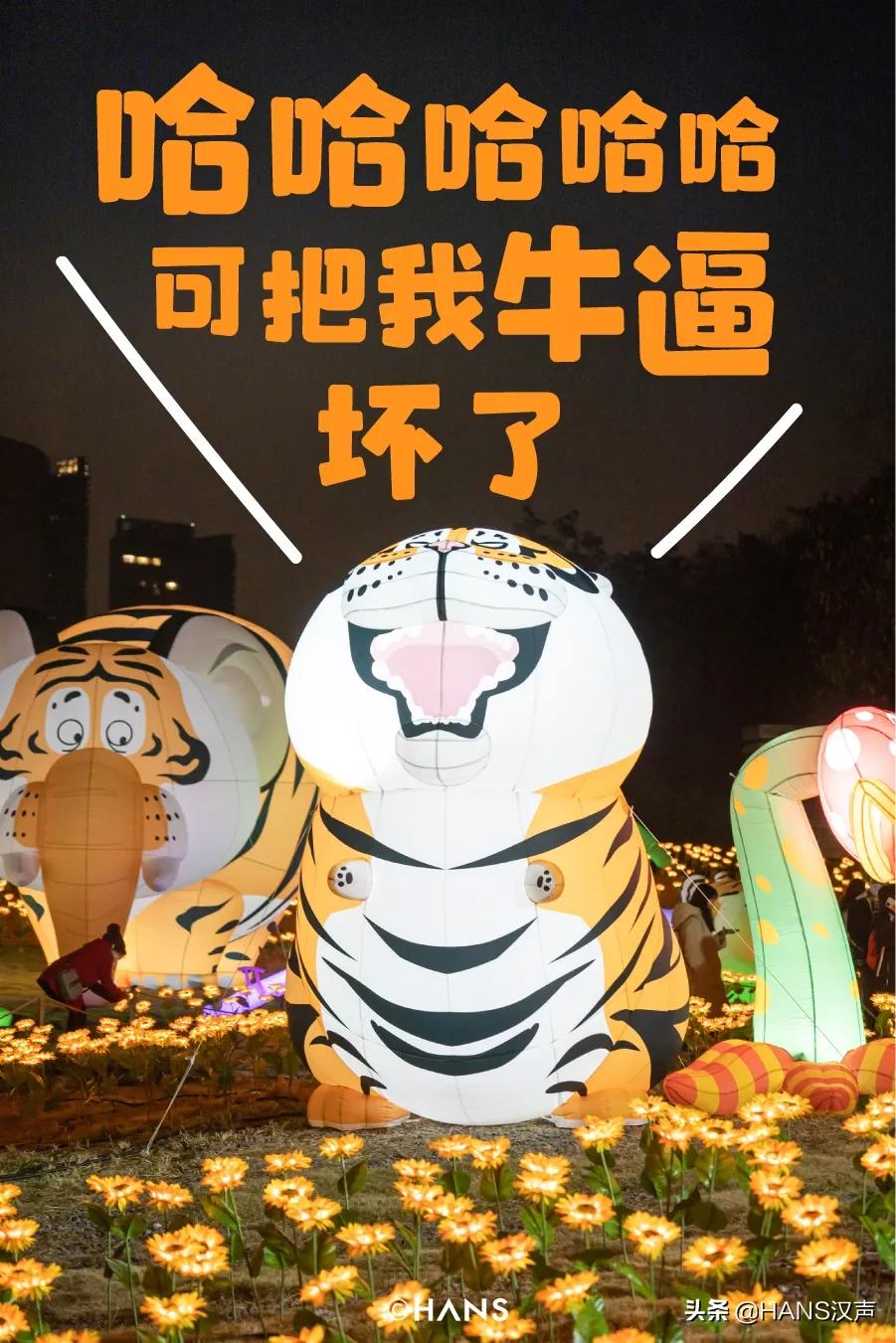 请注意！胖虎出没武汉街头