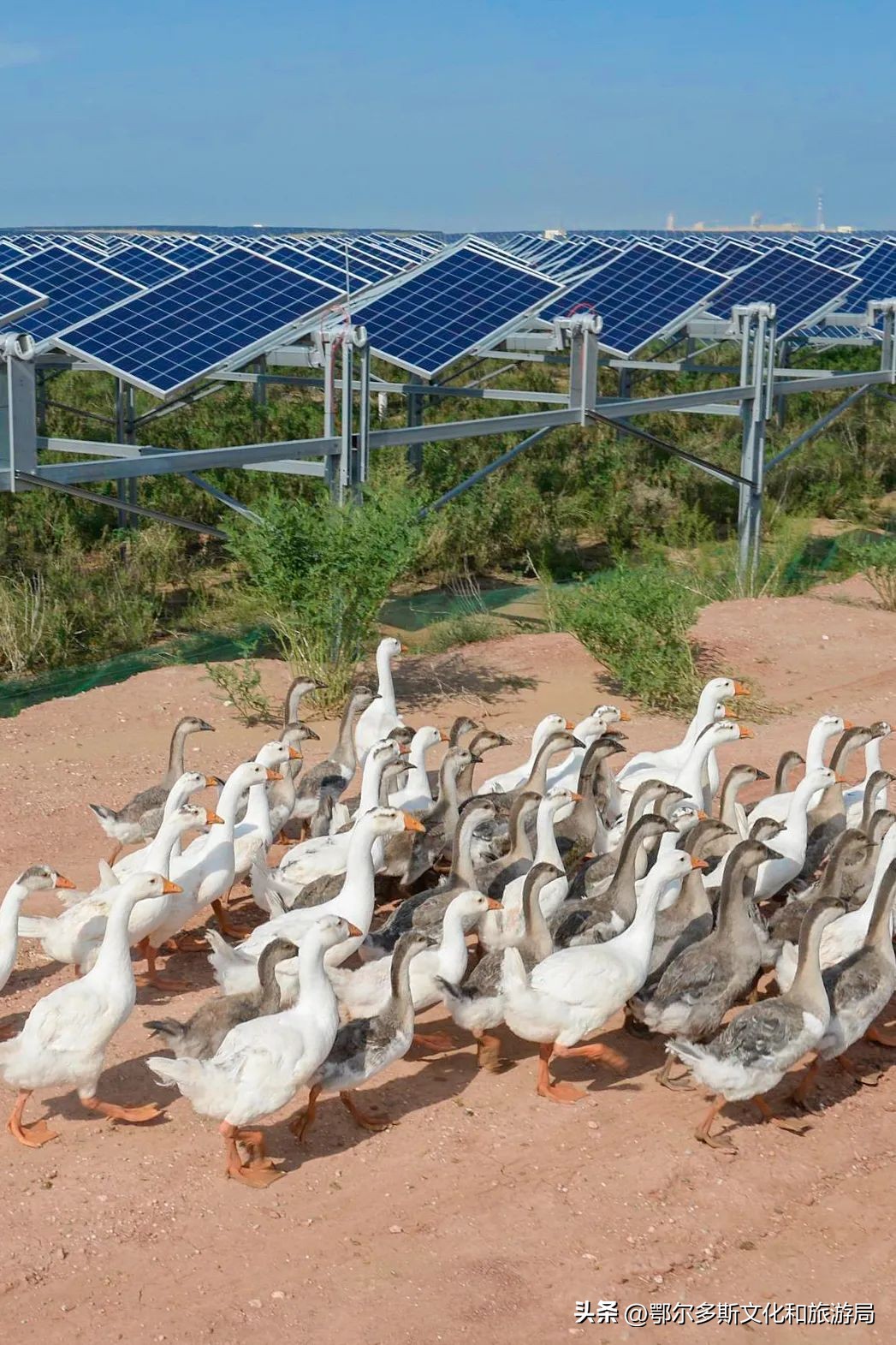 鄂尔多斯的特点,鄂尔多斯现在什么样