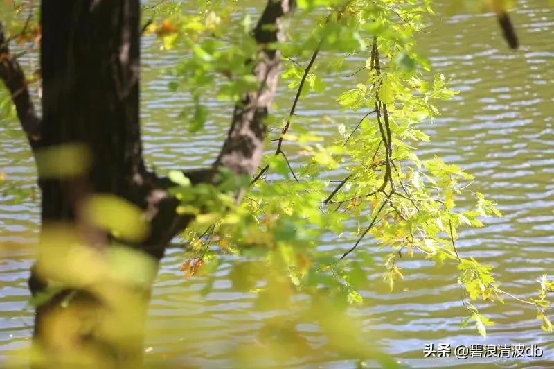 我眼中的家乡千山，真的很美