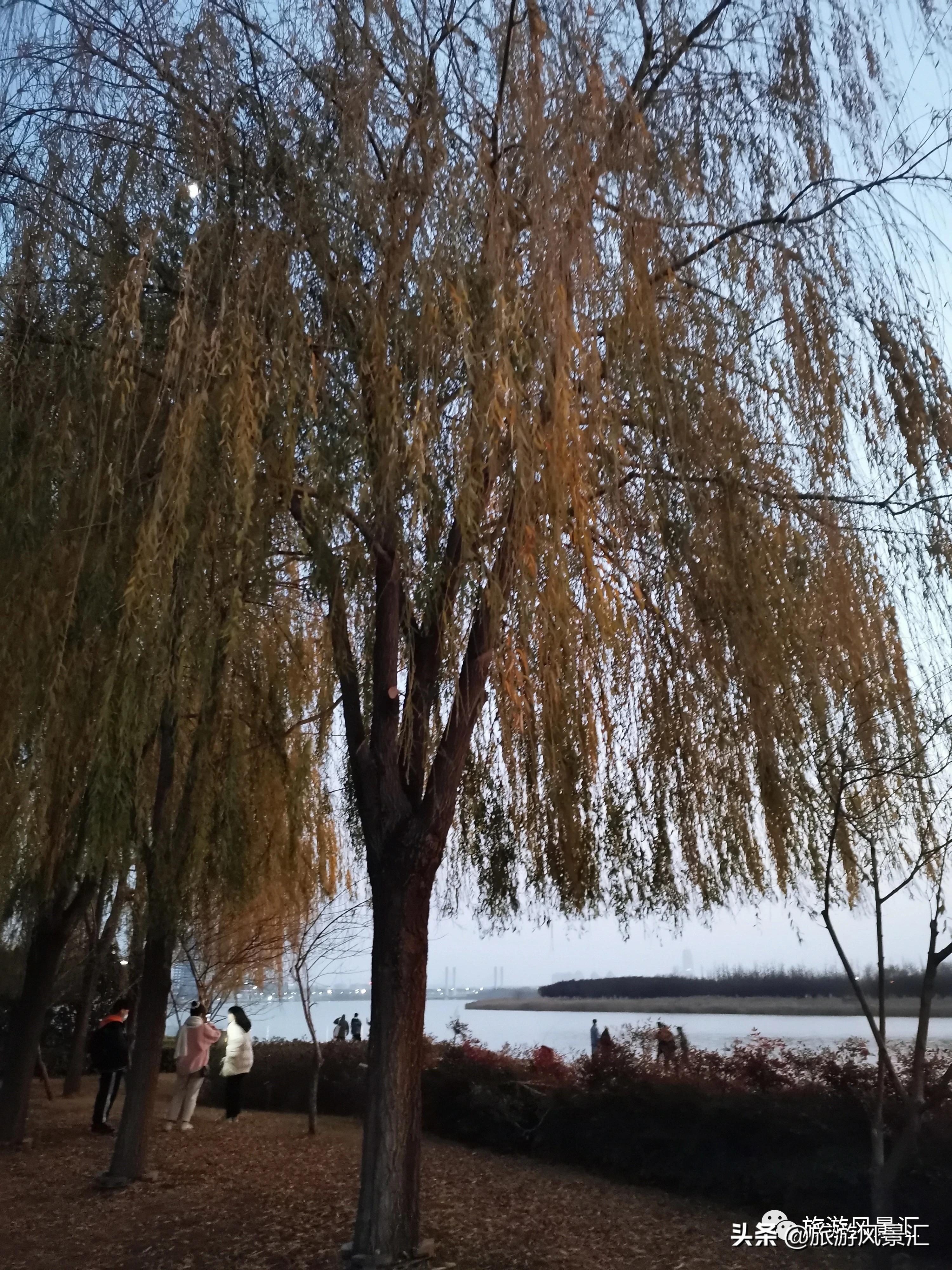 郑州带娃打卡好去处免费公园,郑州北龙湖湿地公园网红打卡圣地