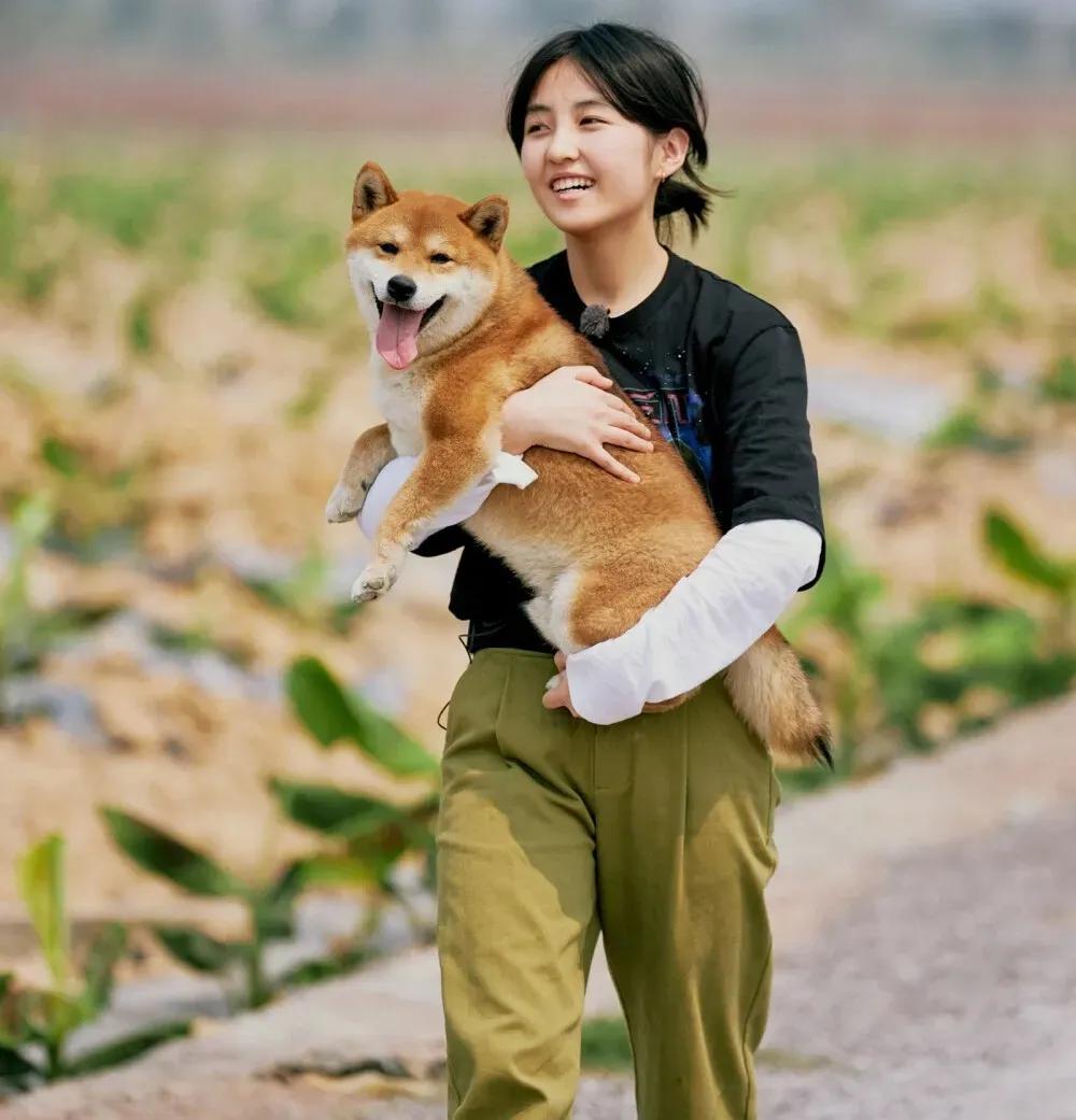 爱豆模板卡点张子枫,张子枫彭昱畅情侣头像