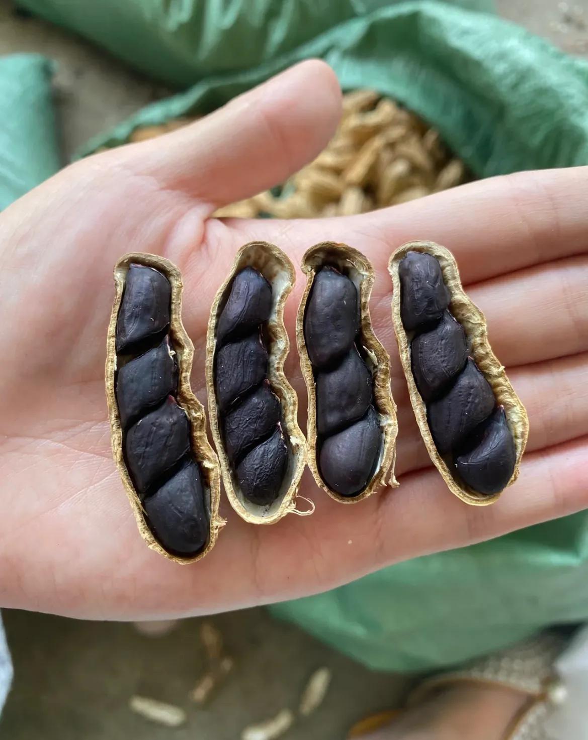 紫红花生和粉色的花生有区别吗,黑色花生和红色花生营养价值