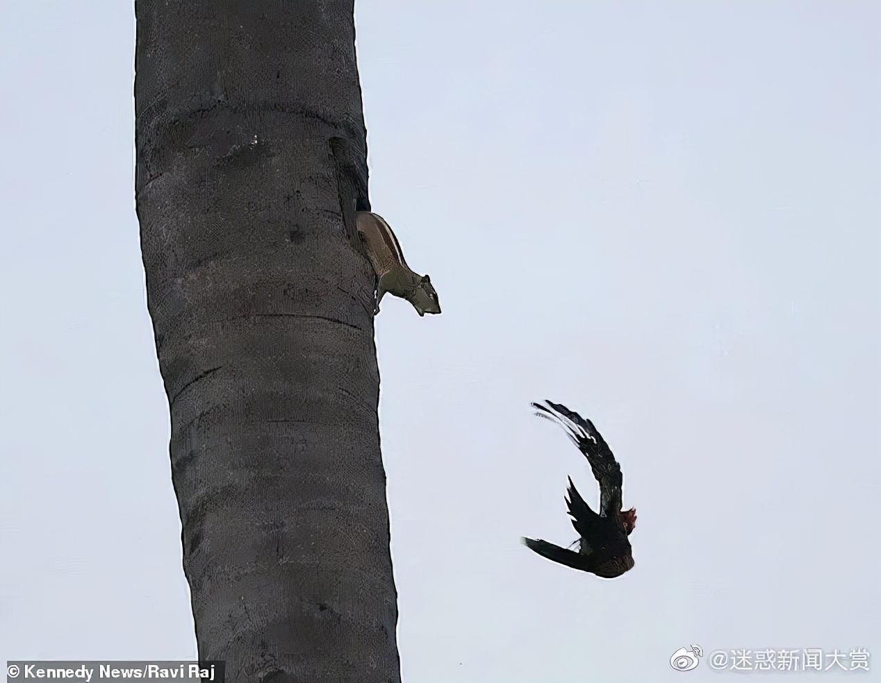 不用烦恼男孩子在想什么|冷段子2015