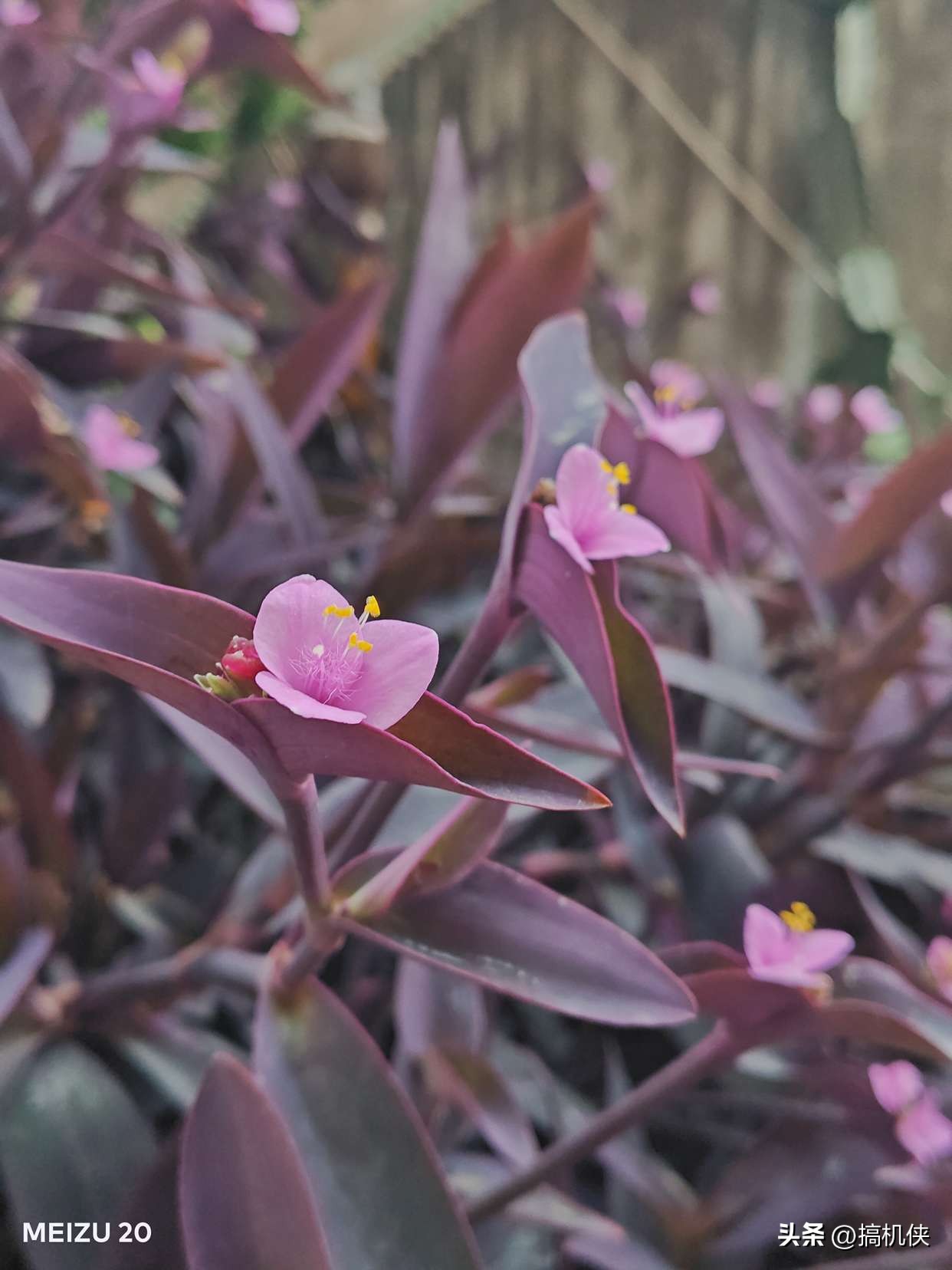 还是那个扣细节的魅族，Flyme带来不一样的体验，魅族20上手实测