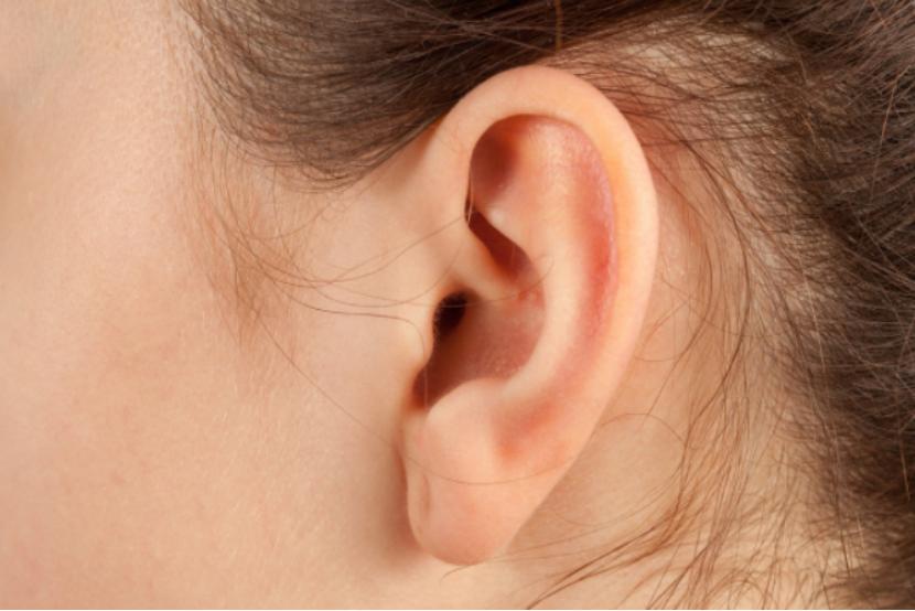 耳朵总是油得很还痒但掏不出东西,耳朵里面很痒但不敢掏一碰很疼