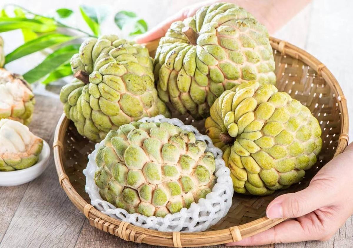 台湾水果滞销积压视频,台湾水果滞销东南亚