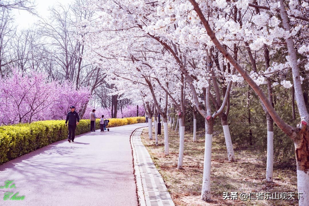 丧家的资本家乏走狗原文,丧家的资本家乏走狗指的是谁