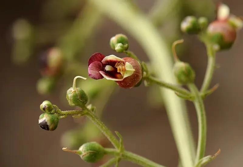 给你全部的温情与热爱,想给你全部的温情和热爱