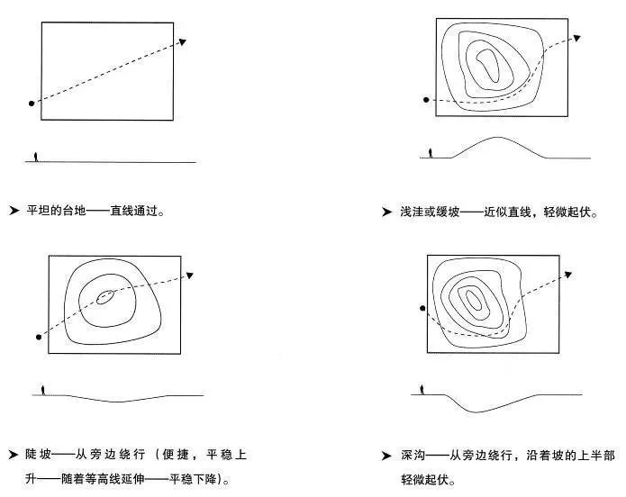 景观设计道路系统,景观设计景观骨架