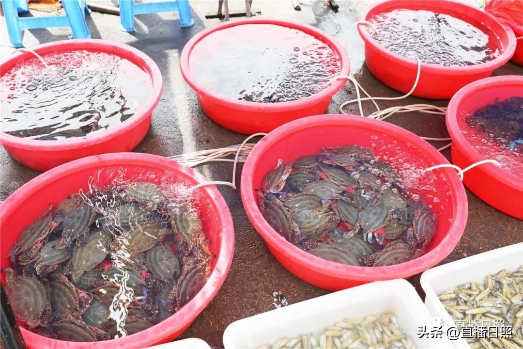 肉质紧实的海虾便宜,肉质嫩价格便宜的海鱼