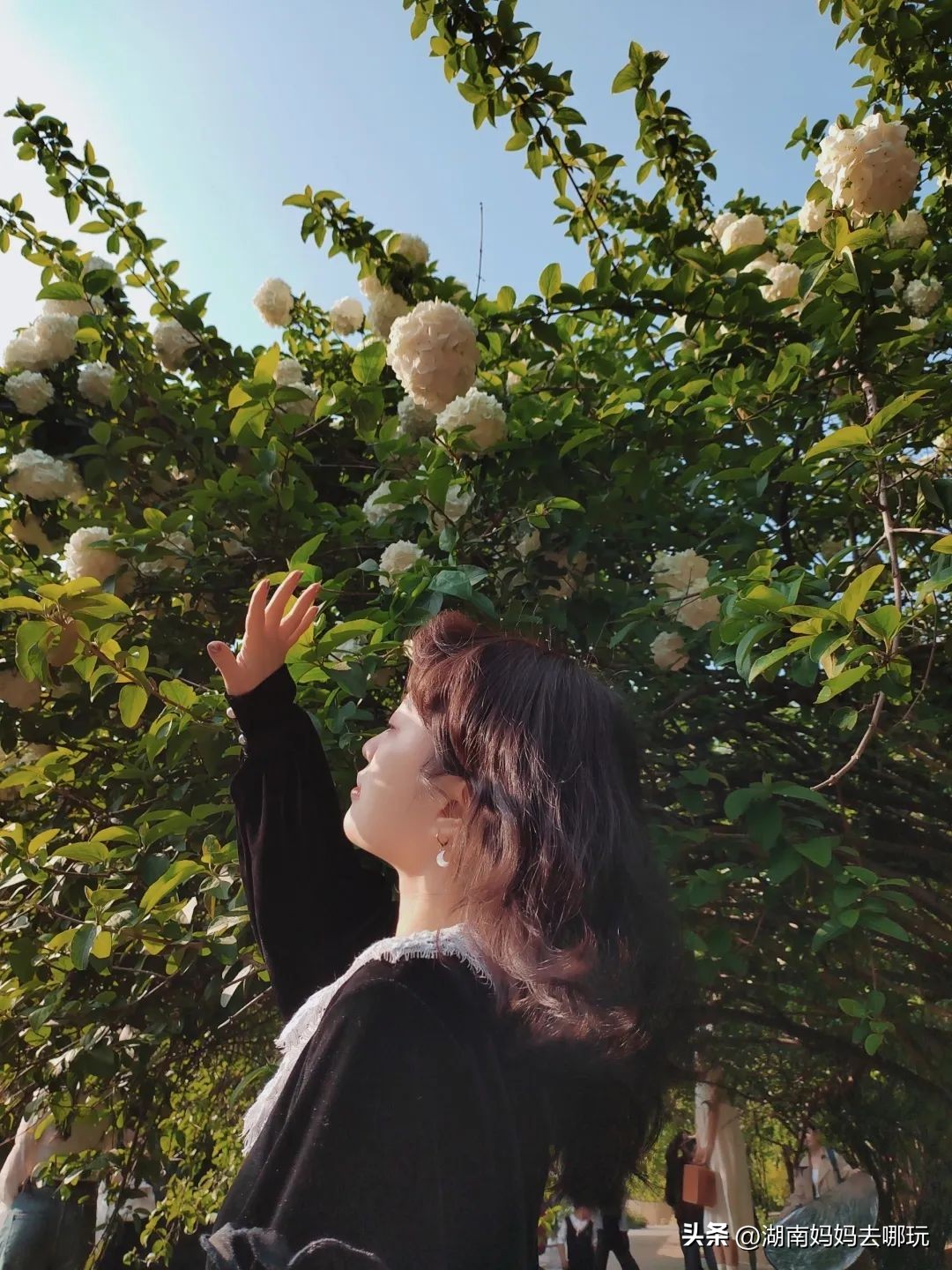 长沙天然森林氧吧景区,长沙周边天然氧吧