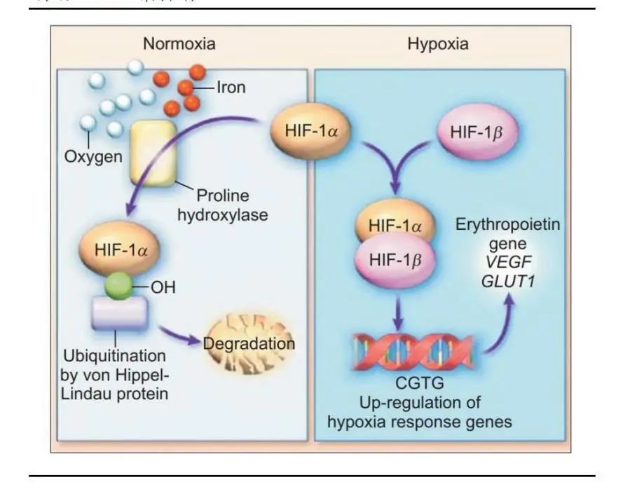 信立泰集中集采,信立泰涨6.23%