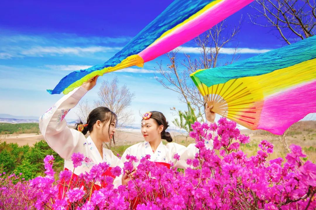 犇福金达莱地址,犇福农场金达莱多吗