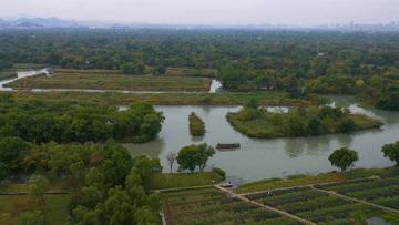 湿地之美惊艳了世界,湿地之美在什么地方