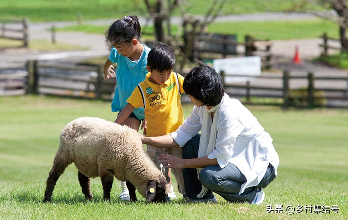 关西六甲山牧场在哪里,六甲山牧场门票多少钱