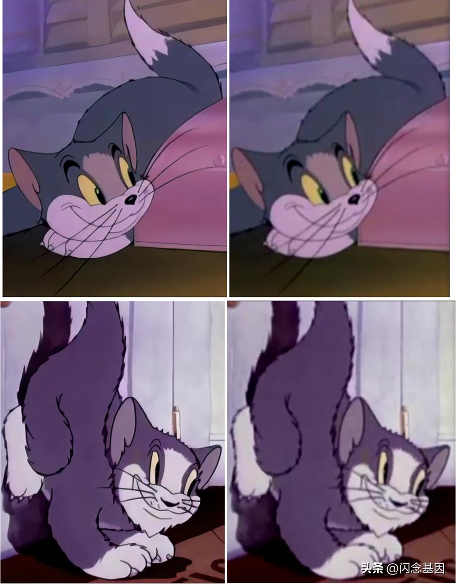 窄带高清,窄带高清技术讲解