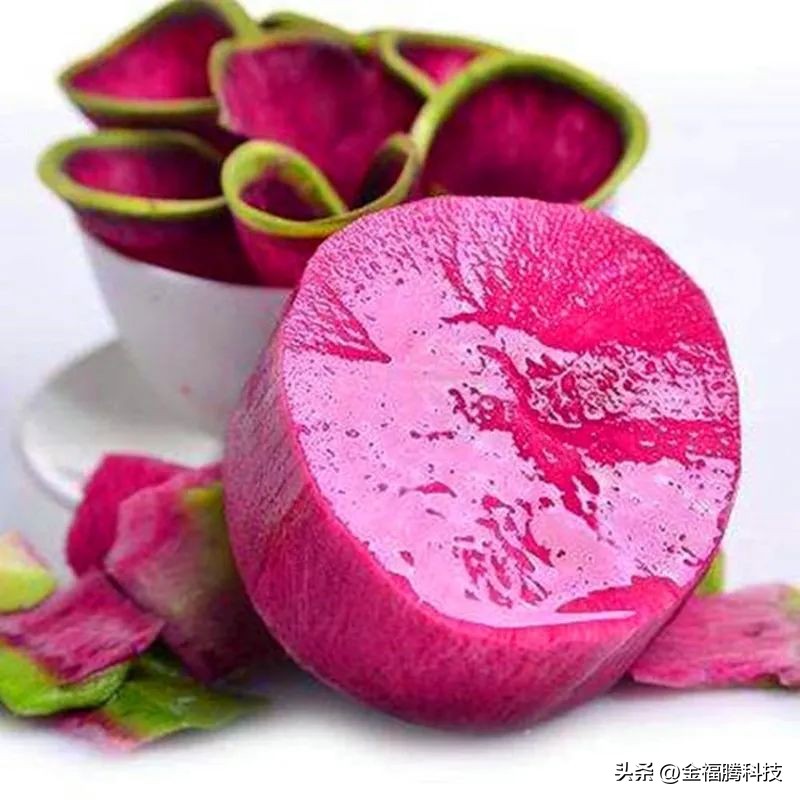 金玉园萝卜熟了~15日采摘期，清甜无辣，原汁原味，自然生长