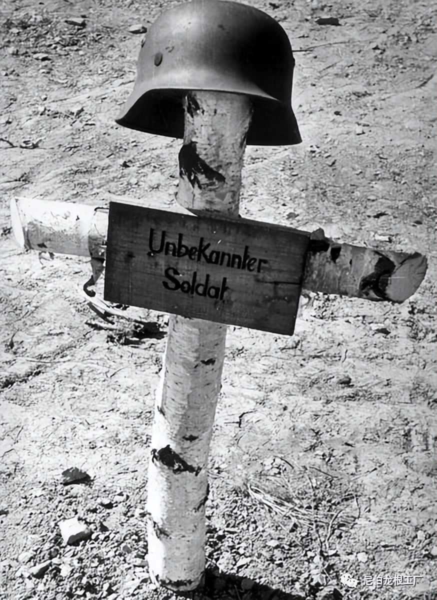 好收吾骨瘴江边全诗,好收吾骨瘴江边翻译