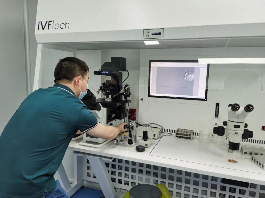 记者探访非法代孕,深圳非法代孕