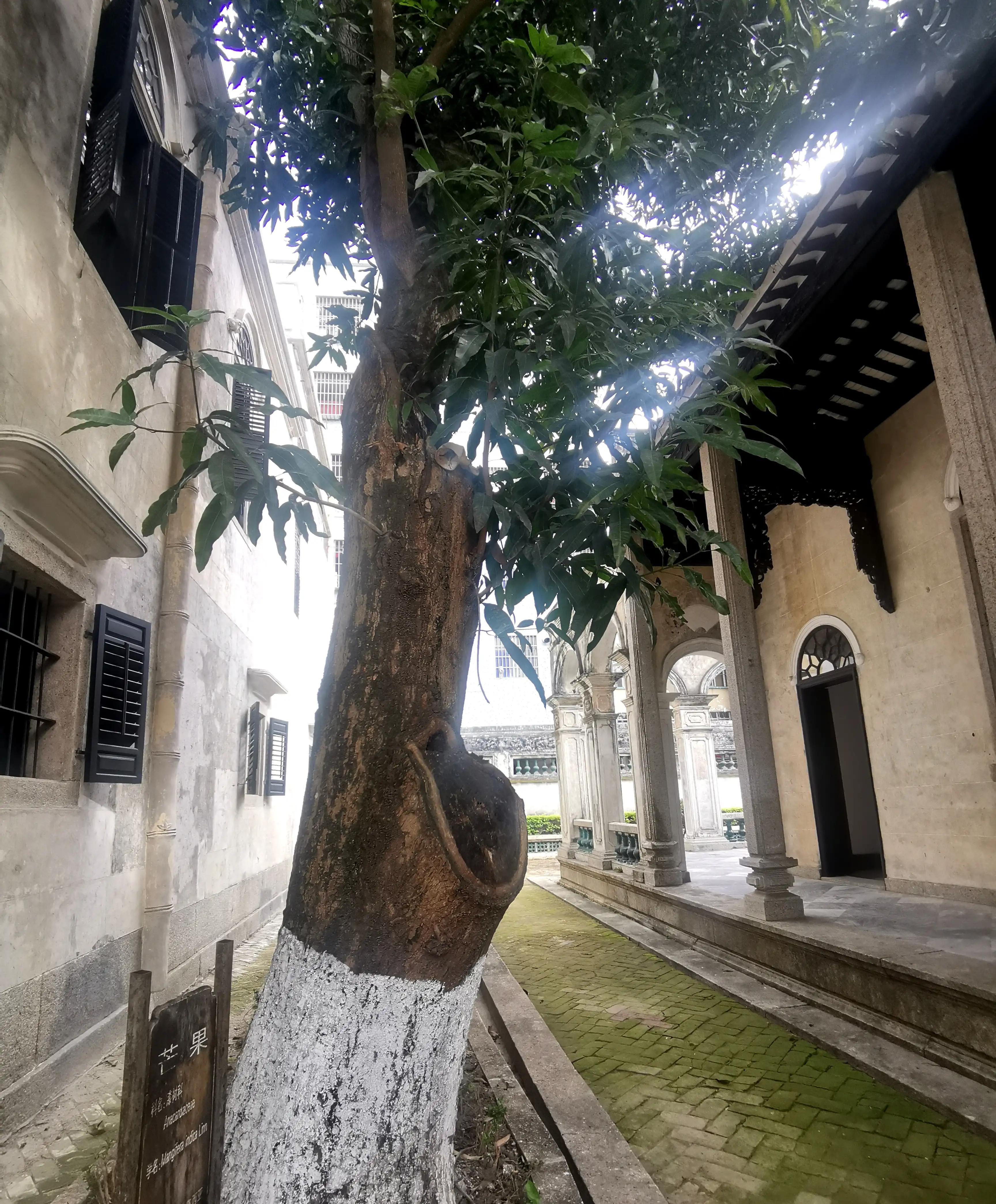 梅溪牌坊简介,珠海梅溪牌坊来历