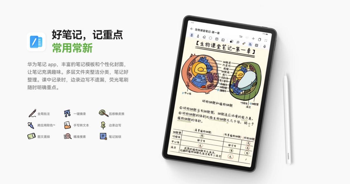 华为matepad11和matepadpro10.8,华为matepad11.5标准版测评