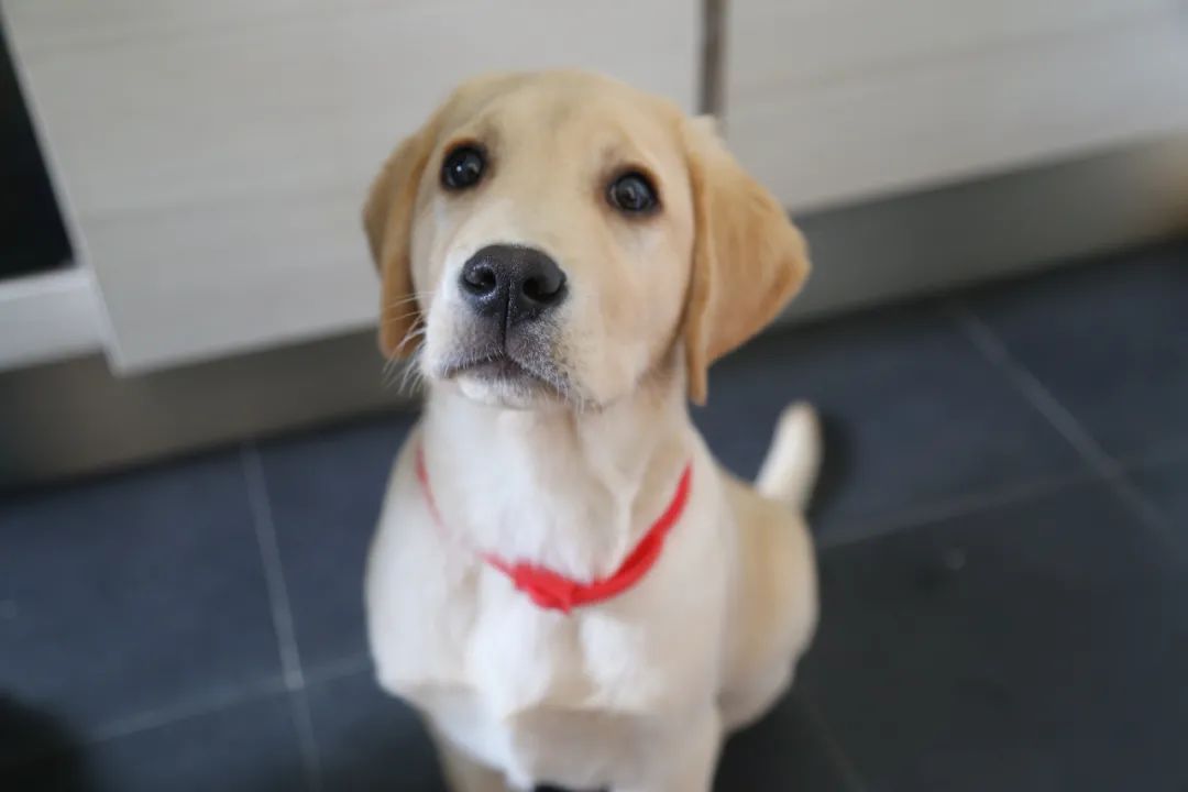 花3万元改造房子,情侣120平出租屋改造