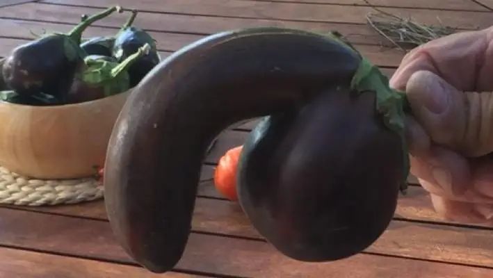 长得丑被抛弃,长得丑被人抛弃