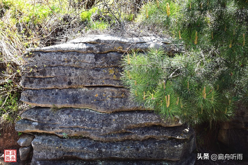 太行王莽岭简介,太行山王莽岭