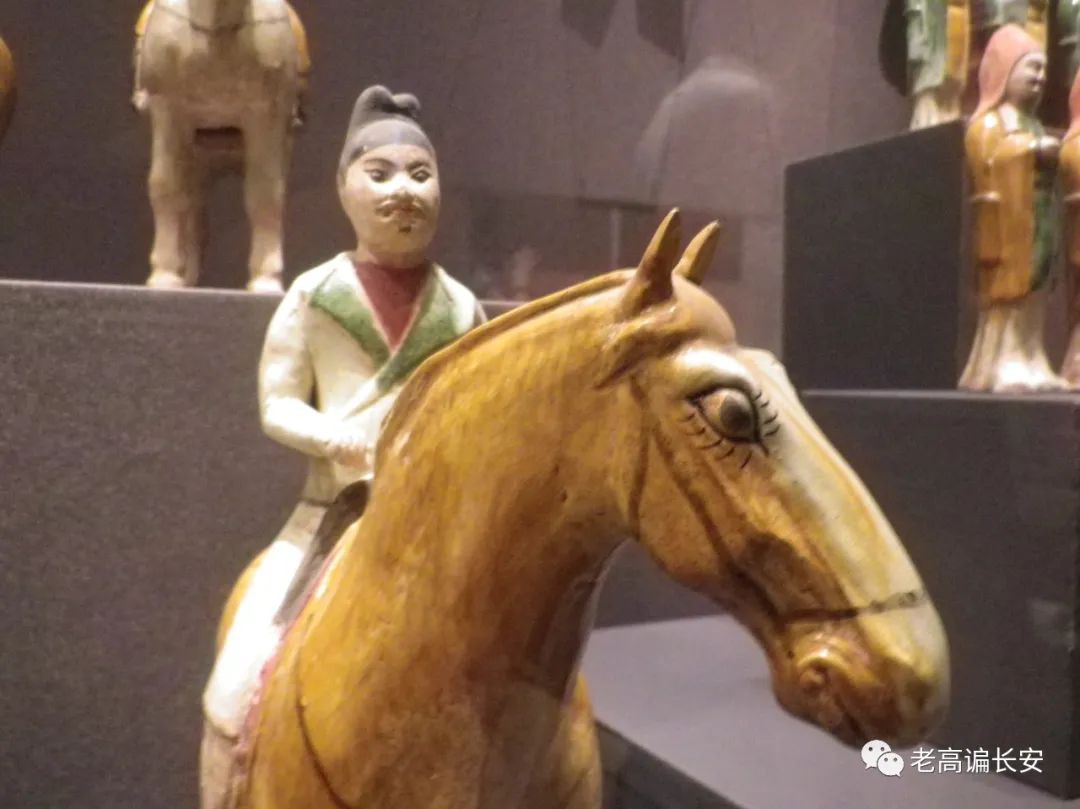 假期参观陕西考古博物馆,陕西考古博物馆开馆直播