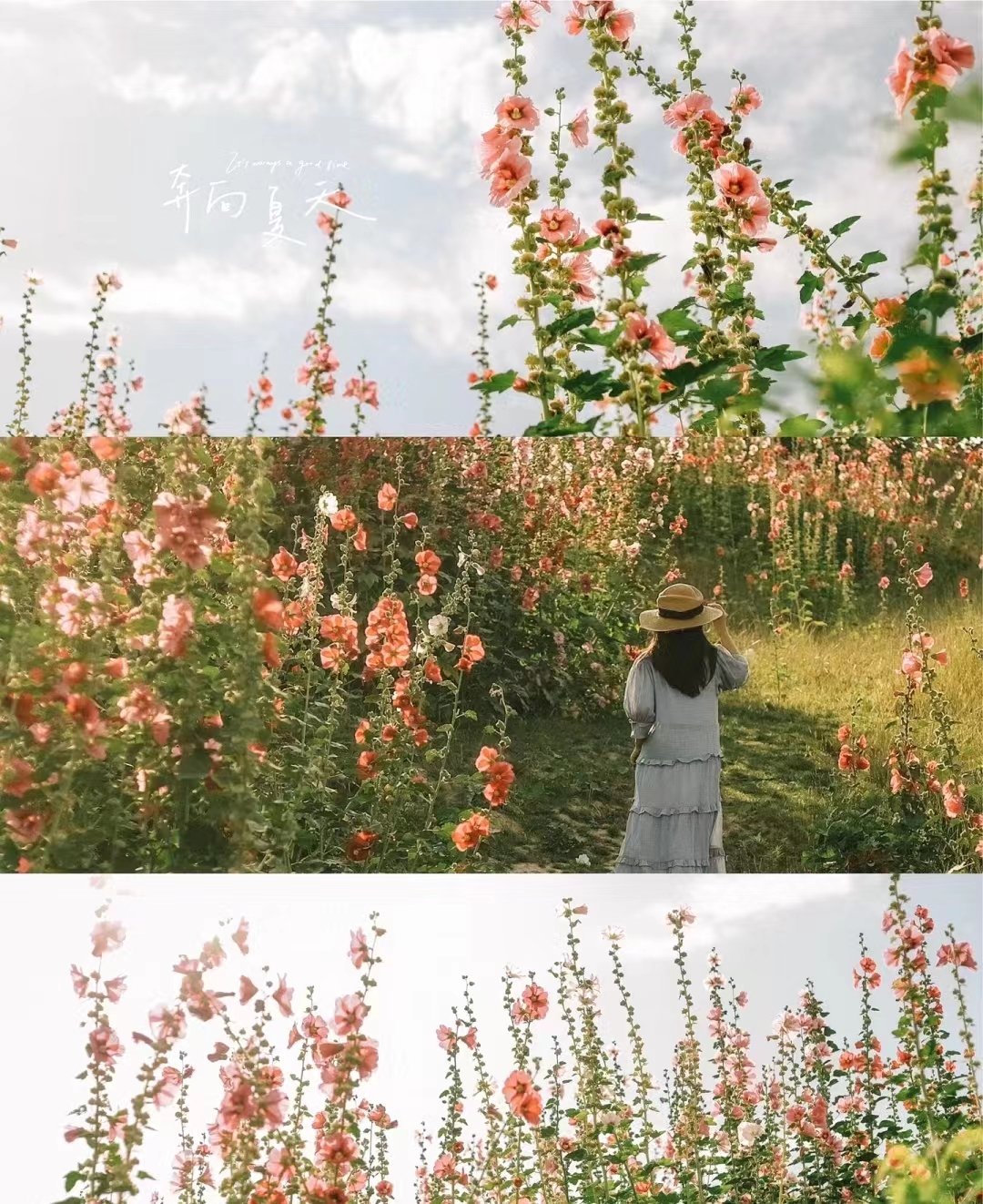 郑州周末学生游玩推荐,郑州夏天周边适合孩子玩免费景点