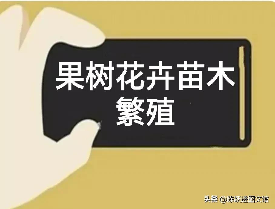 买果树怎么选择好的苗木,苗木的繁殖方法有哪些