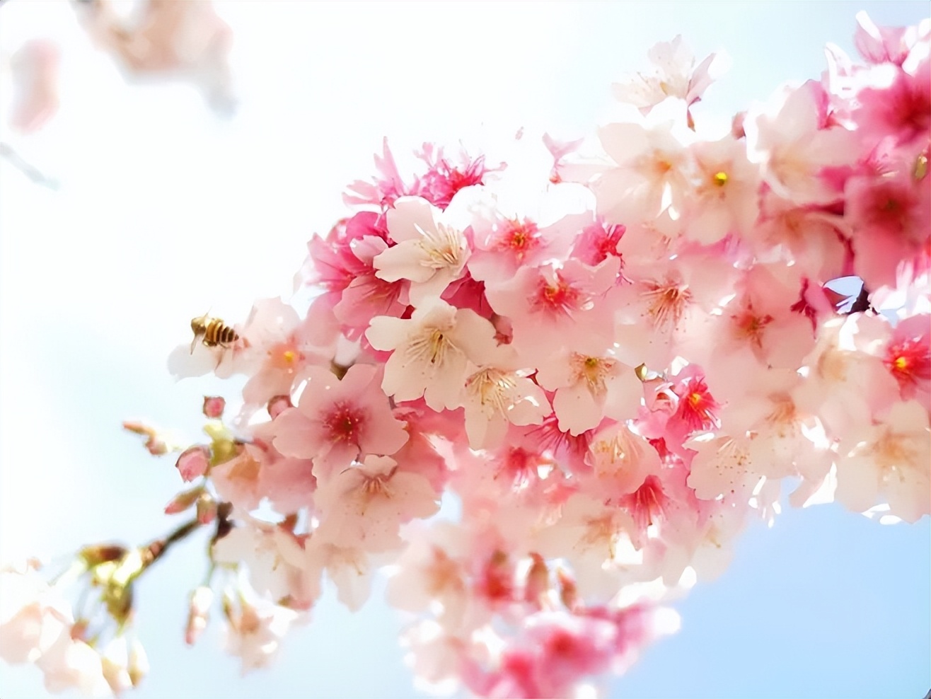 男人对你冷淡时正确的做法,男人对你冷淡了教你两招终身受用