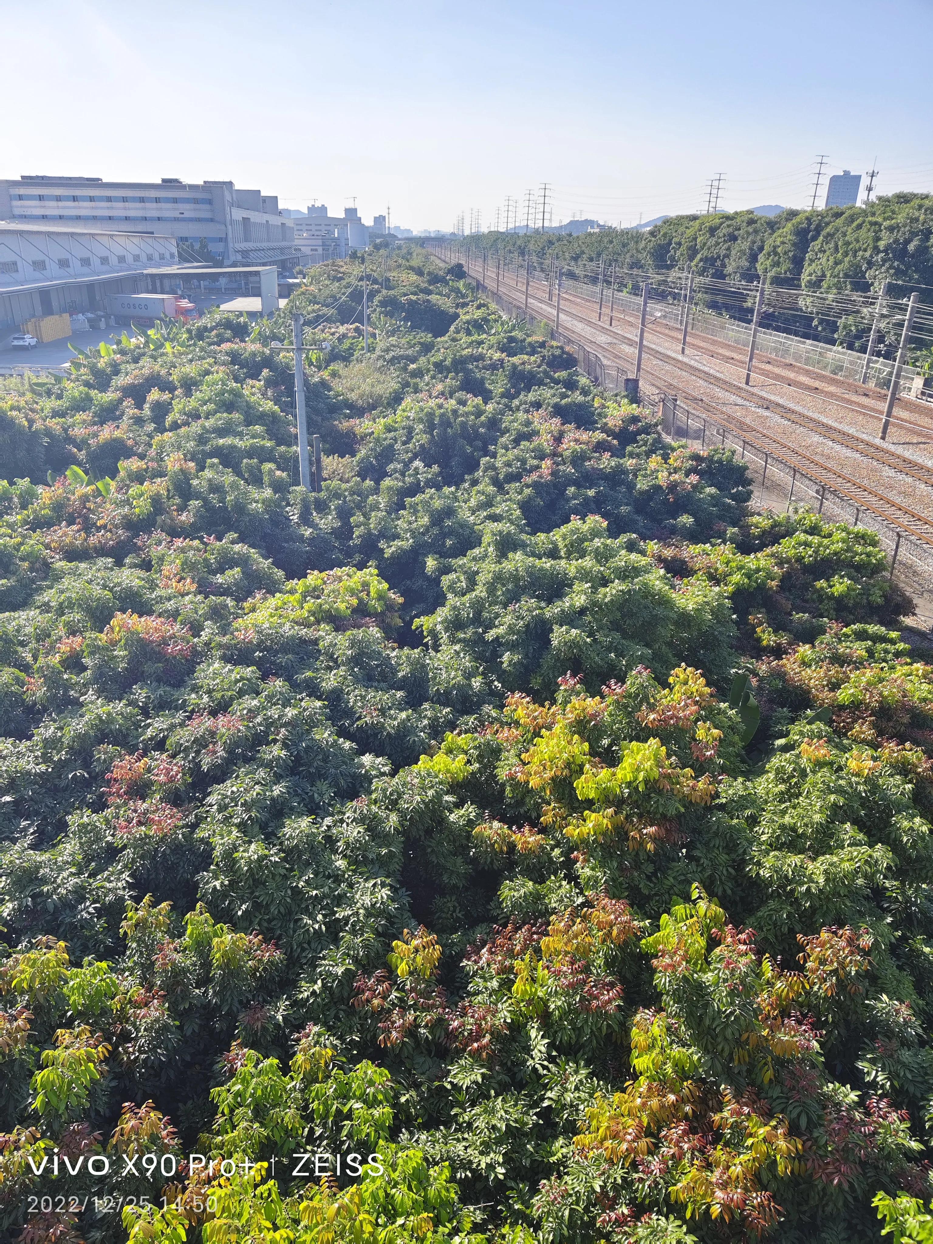 最近比较流行的网络语,目前最流行网络语