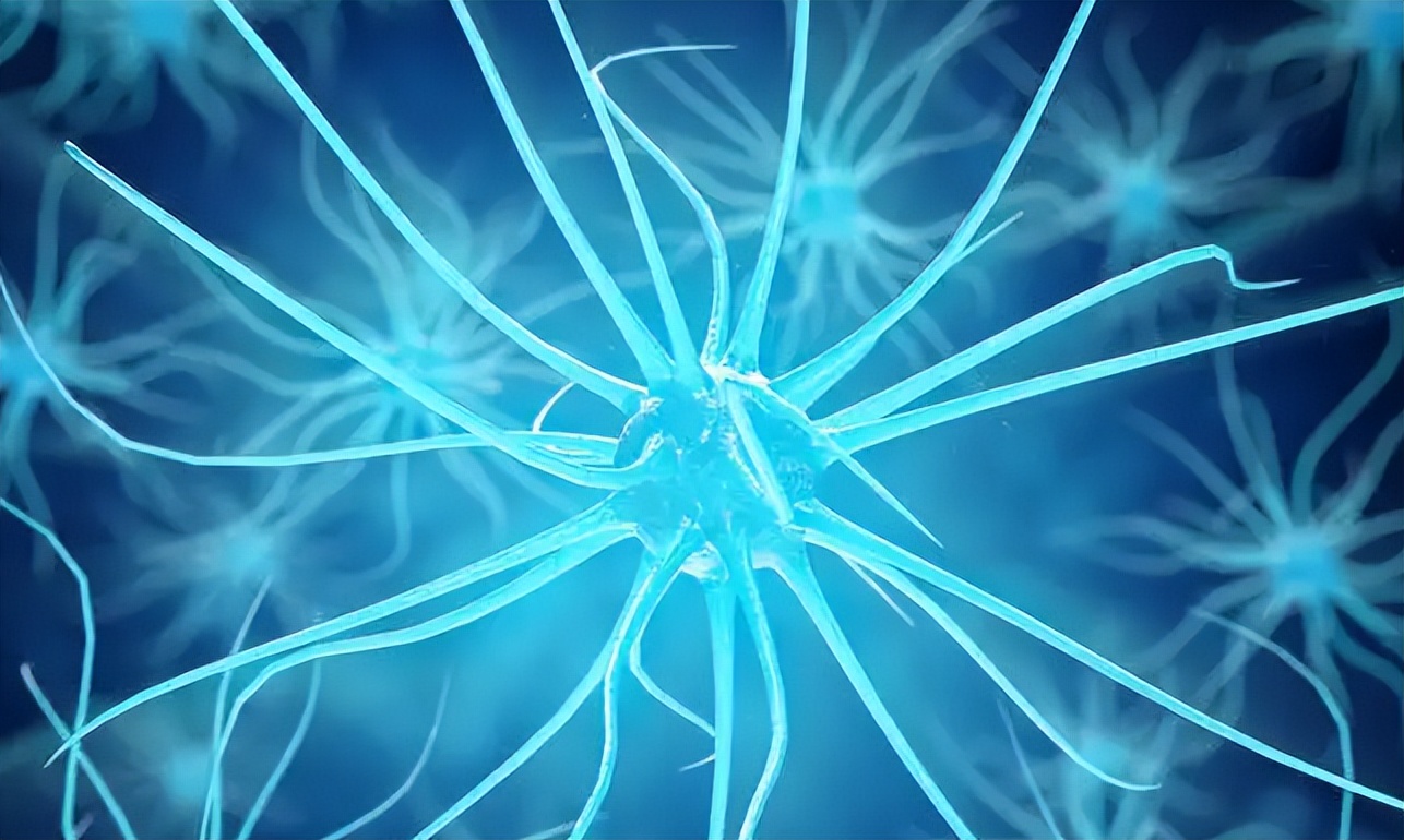 什么是脉冲信号和数字信号,什么是脉冲脉冲有什么用