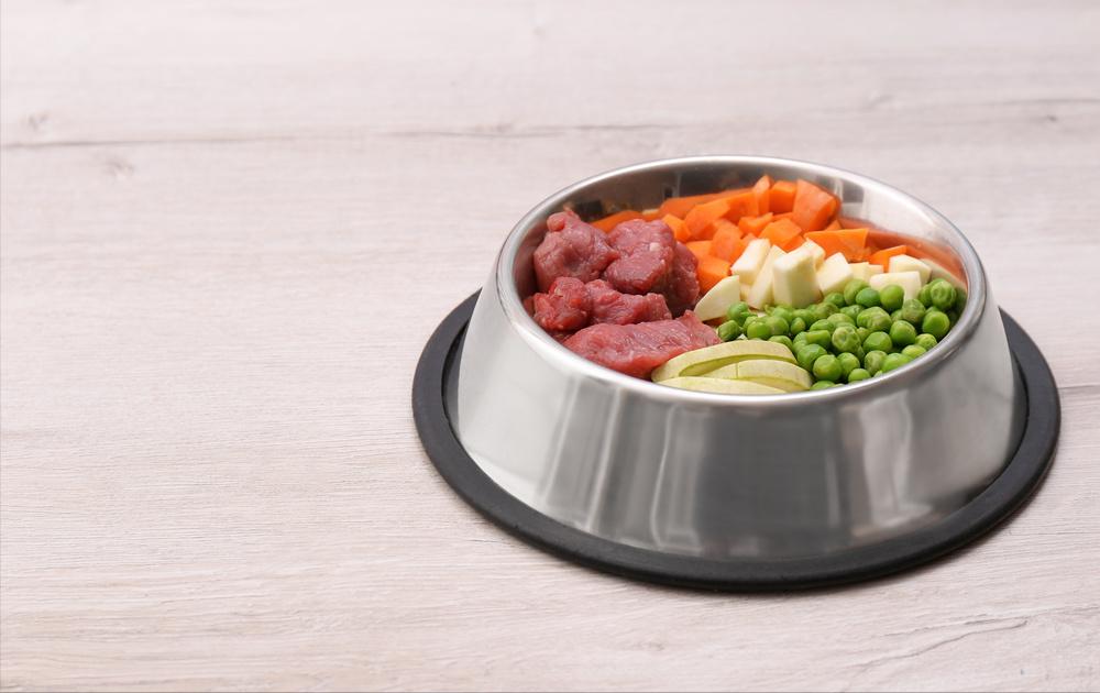 狗狗只吃狗粮为什么会吐,狗狗每天只吃一点点狗粮