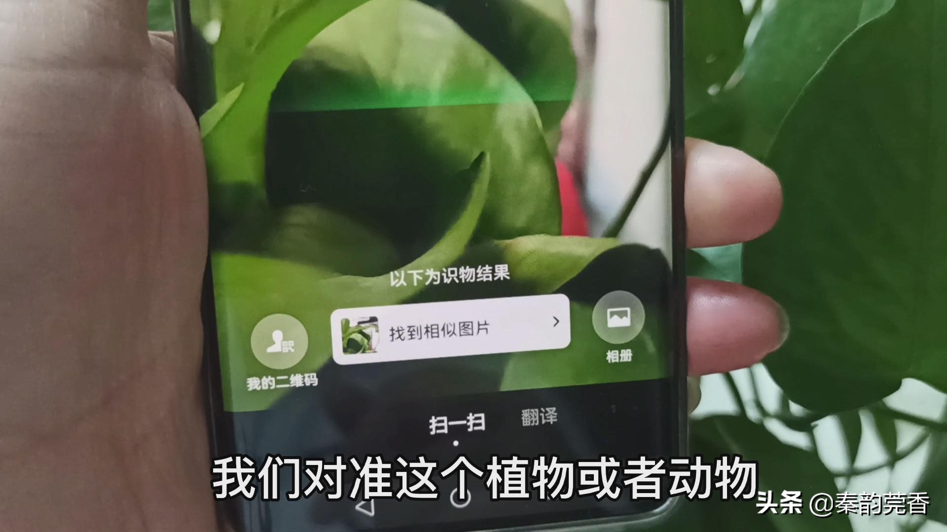 微信右上角加号有哪些功能,微信下方有个隐藏加号