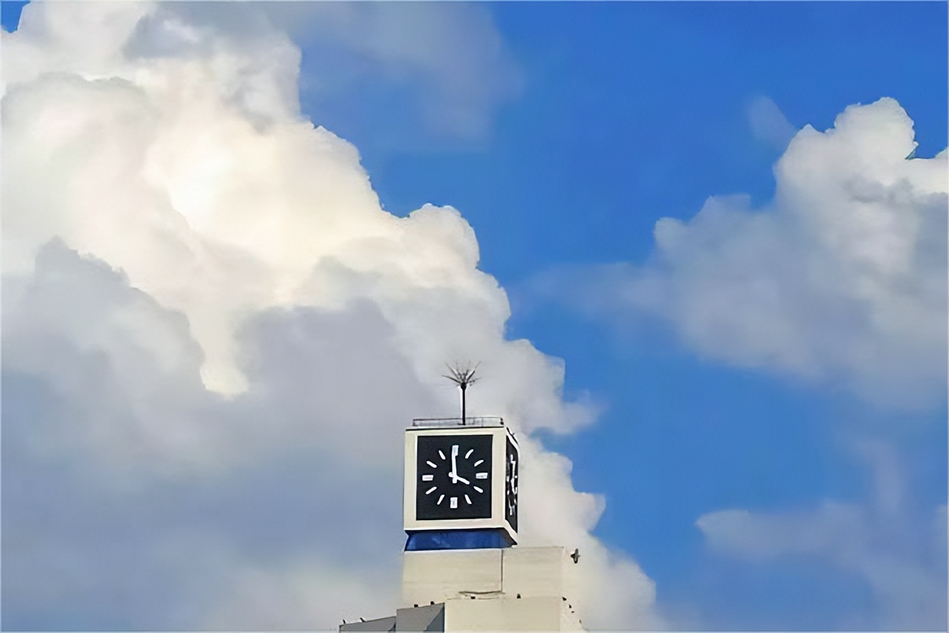 张雪峰含金量太低的专业,张雪峰为何总被骂上热搜